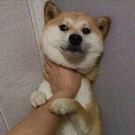 十四