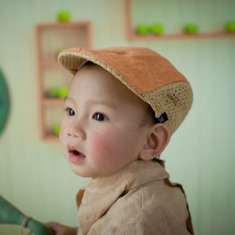 子龍