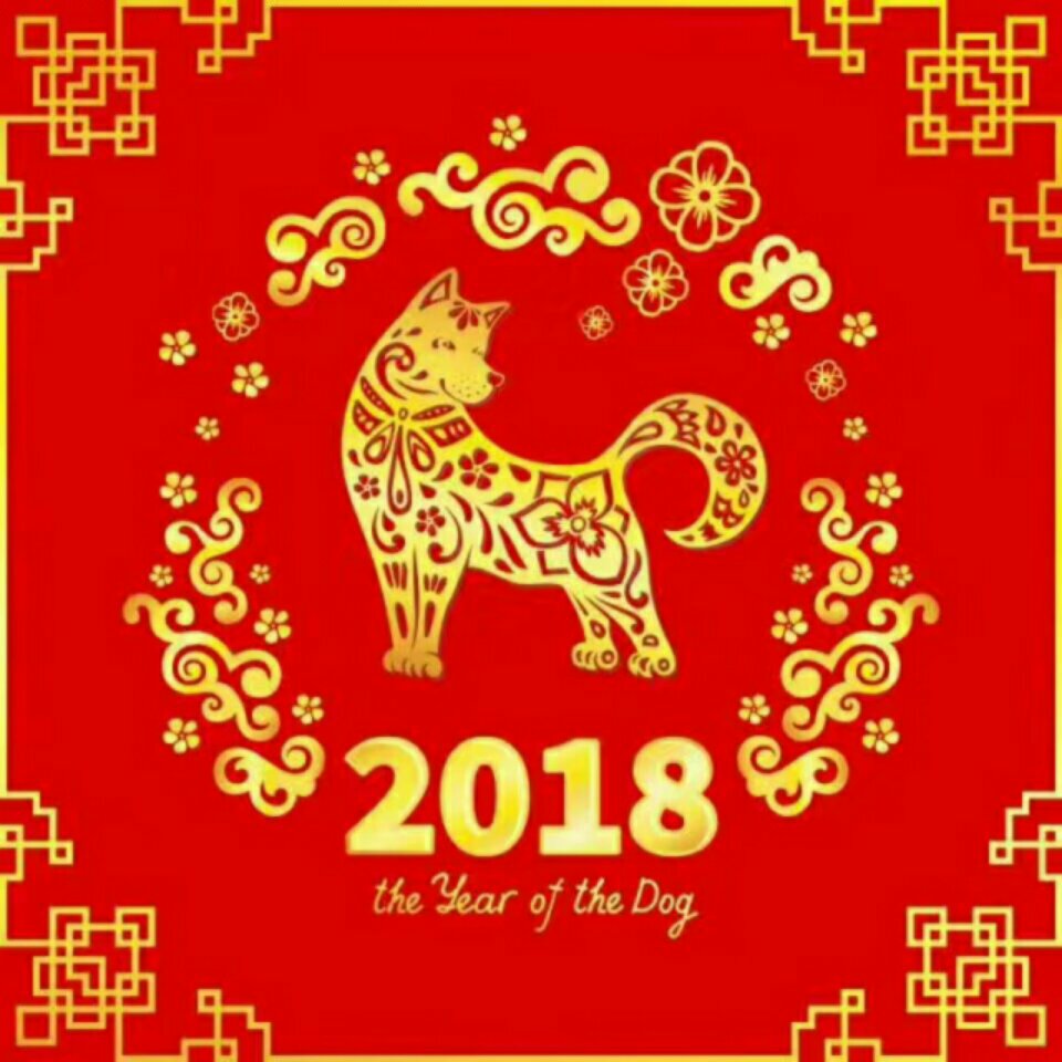 李飛