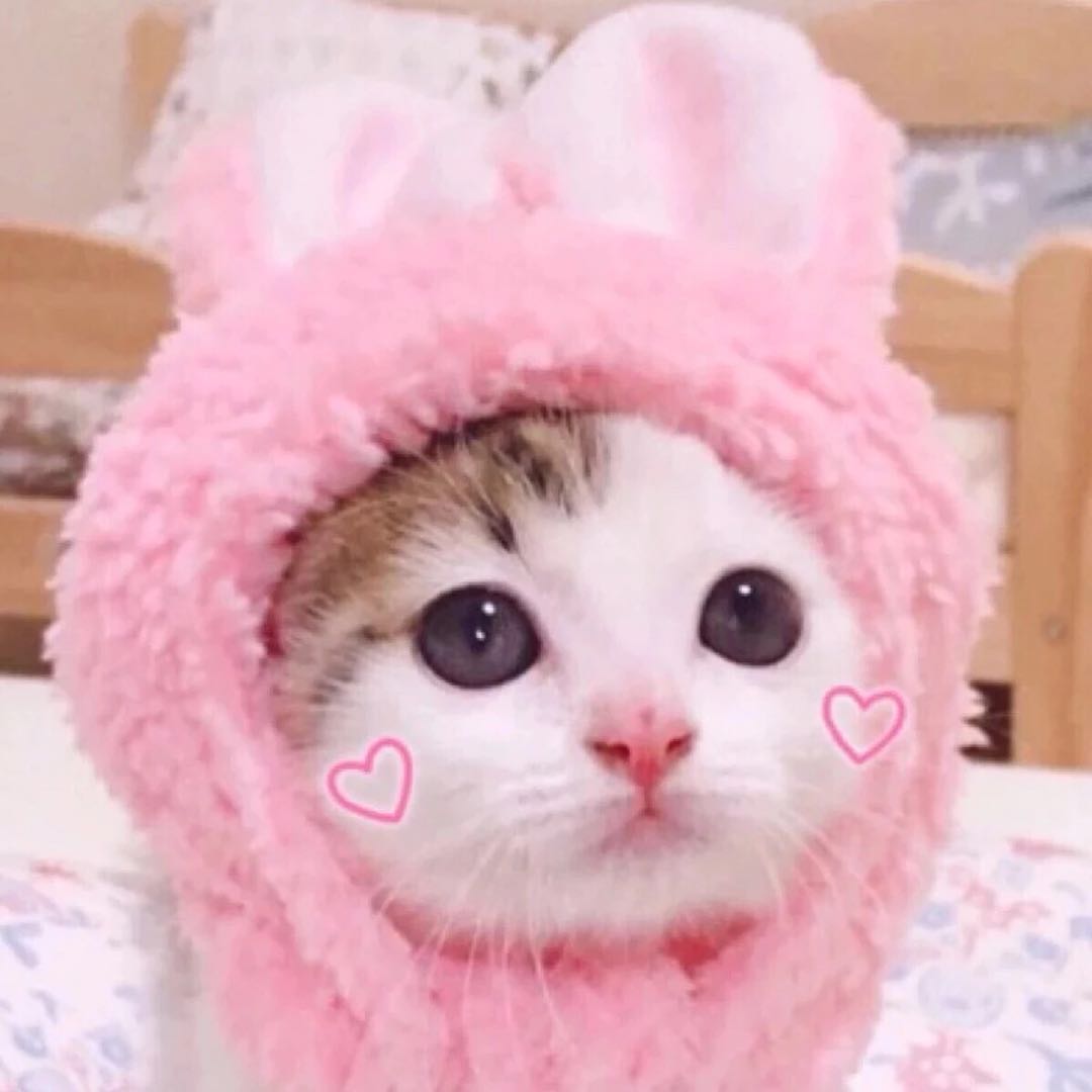CP
