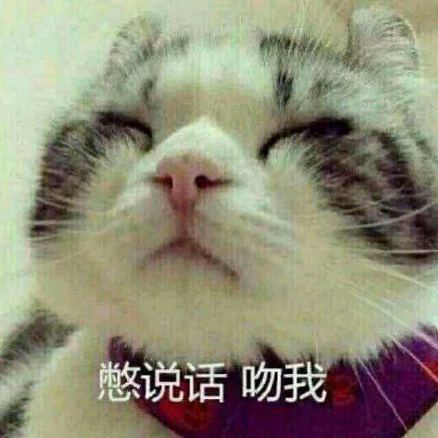 呼呼