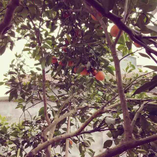 亚马逊上卖的产品被投诉到质监局导致产品被封