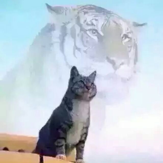 小亮