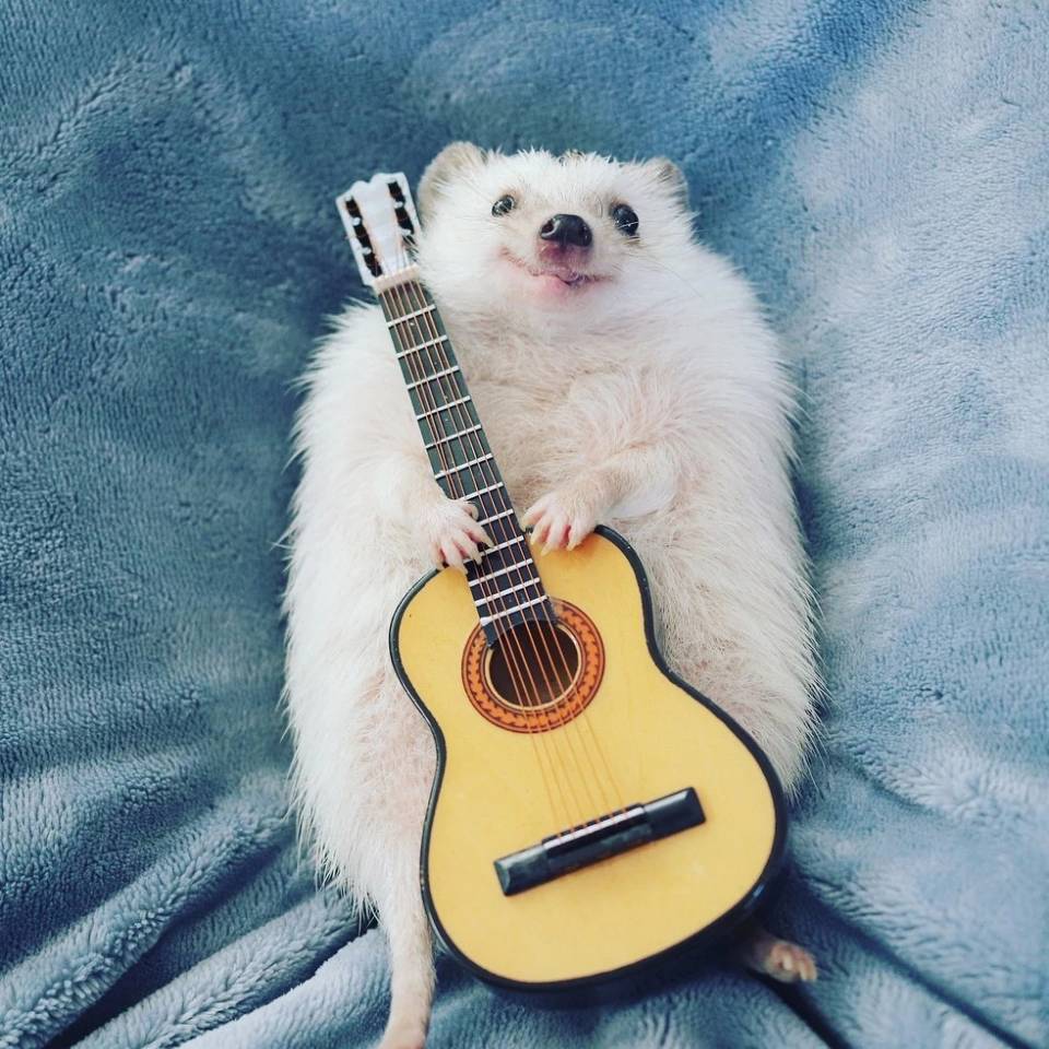 亚马逊上卖的产品被投诉到质监局导致产品被封