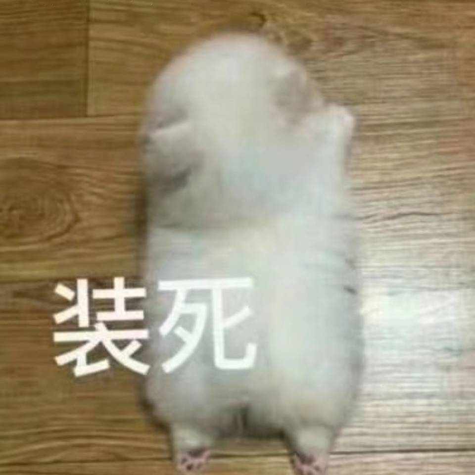 蛋蛋