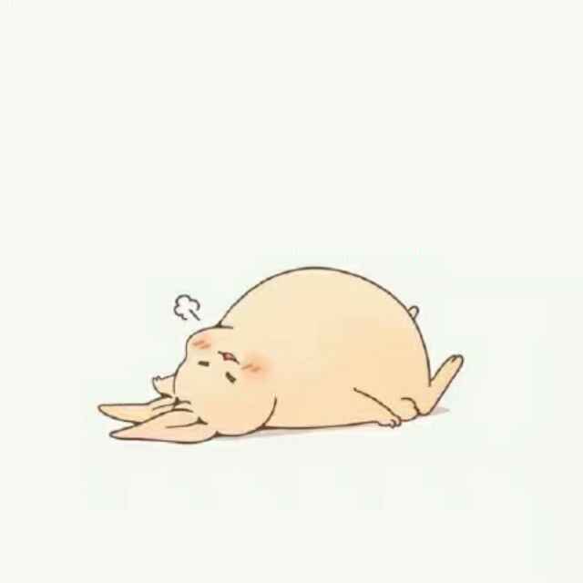 祎