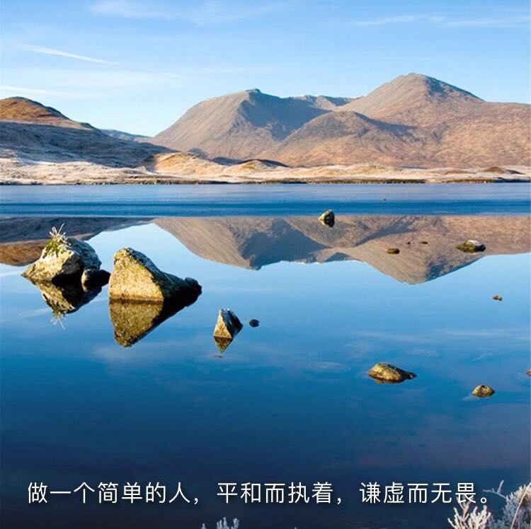 樹