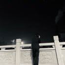 魚兒