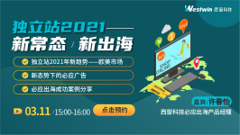 低投入、高ROI!2021独立站大卖实战经验,教你赢赚全球
