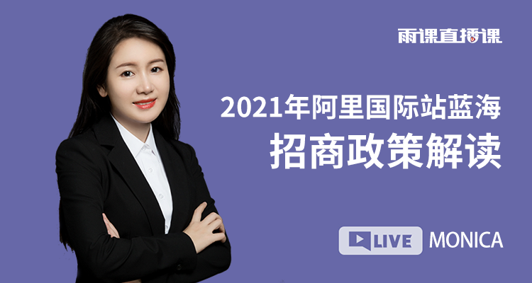 2021年阿里国际站蓝海招商政策解读
