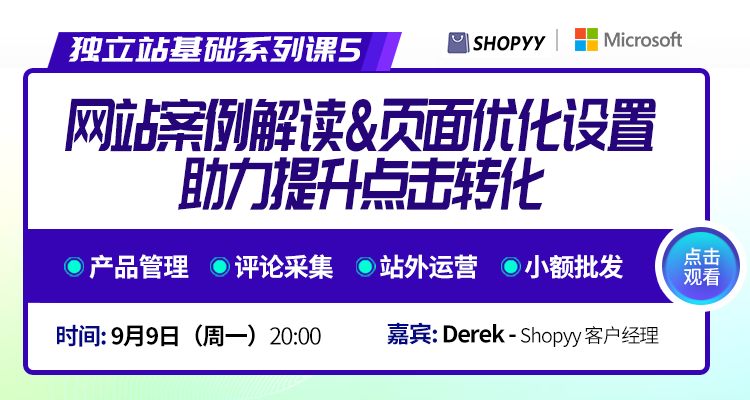 独立站基础系列5:网站案例解读&页面优化设置,助力提升点击转化